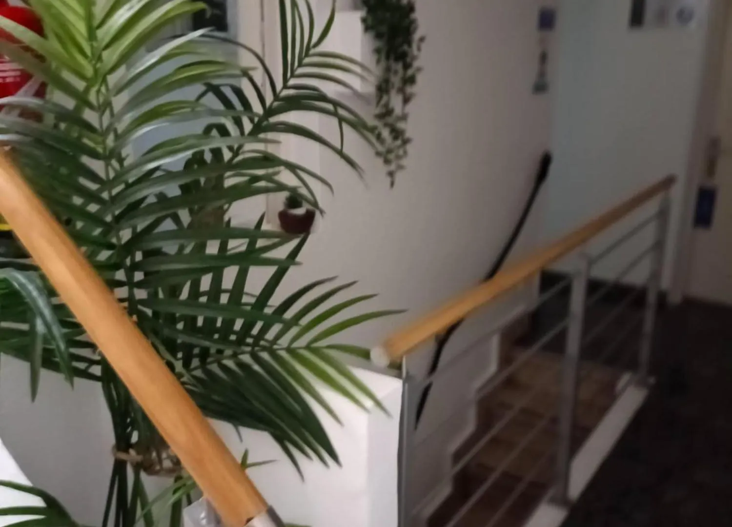 Pension Playa Los Cristianos  Guest house